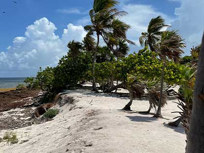 Lot for sale costa maya