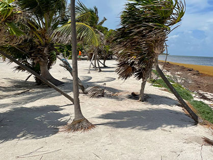 Lot for sale costa maya
