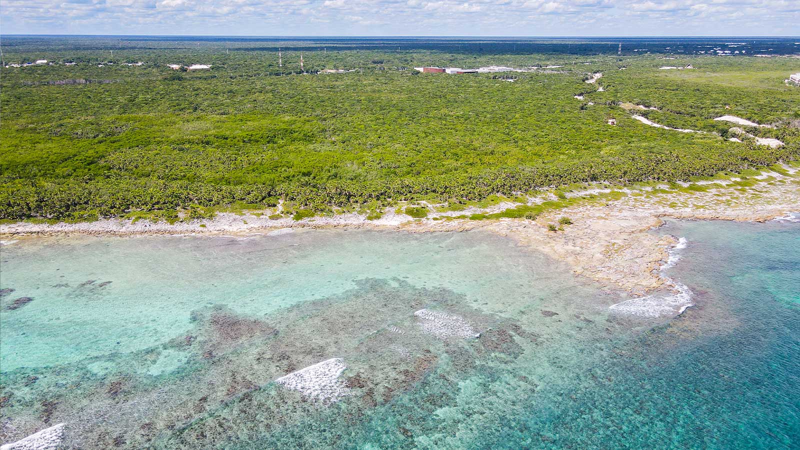 Punta Carey 