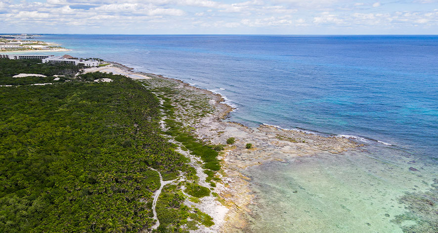 Punta Carey 