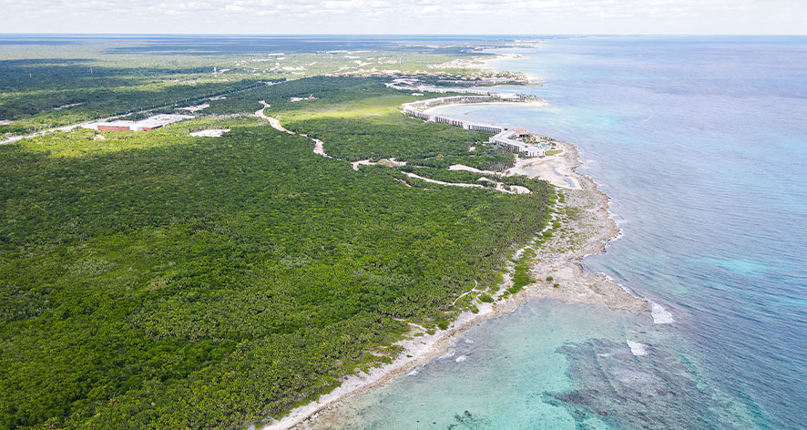 Punta Carey 