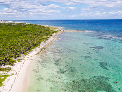 Punta Carey 